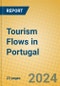 Tourism Flows in Portugal - Product Image