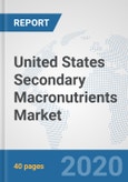 United States Secondary Macronutrients Market: Prospects, Trends Analysis, Market Size and Forecasts up to 2025- Product Image