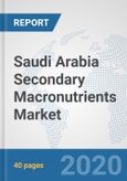 Saudi Arabia Secondary Macronutrients Market: Prospects, Trends Analysis, Market Size and Forecasts up to 2025- Product Image
