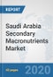 Saudi Arabia Secondary Macronutrients Market: Prospects, Trends Analysis, Market Size and Forecasts up to 2025 - Product Thumbnail Image