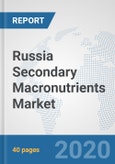 Russia Secondary Macronutrients Market: Prospects, Trends Analysis, Market Size and Forecasts up to 2025- Product Image
