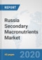 Russia Secondary Macronutrients Market: Prospects, Trends Analysis, Market Size and Forecasts up to 2025 - Product Thumbnail Image