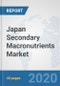 Japan Secondary Macronutrients Market: Prospects, Trends Analysis, Market Size and Forecasts up to 2025 - Product Thumbnail Image