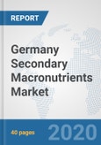 Germany Secondary Macronutrients Market: Prospects, Trends Analysis, Market Size and Forecasts up to 2025- Product Image