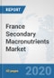 France Secondary Macronutrients Market: Prospects, Trends Analysis, Market Size and Forecasts up to 2025 - Product Thumbnail Image