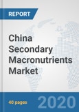 China Secondary Macronutrients Market: Prospects, Trends Analysis, Market Size and Forecasts up to 2025- Product Image