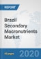 Brazil Secondary Macronutrients Market: Prospects, Trends Analysis, Market Size and Forecasts up to 2025 - Product Thumbnail Image