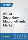 Africa Secondary Macronutrients Market: Prospects, Trends Analysis, Market Size and Forecasts up to 2025- Product Image