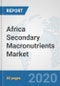 Africa Secondary Macronutrients Market: Prospects, Trends Analysis, Market Size and Forecasts up to 2025 - Product Thumbnail Image