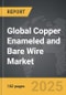 Copper Enameled and Bare Wire - Global Strategic Business Report - Product Thumbnail Image