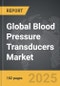 Blood Pressure Transducers - Global Strategic Business Report - Product Image