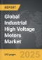 Industrial High Voltage Motors - Global Strategic Business Report - Product Thumbnail Image