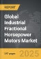 Industrial Fractional Horsepower Motors - Global Strategic Business Report - Product Thumbnail Image