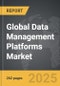 Data Management Platforms - Global Strategic Business Report - Product Thumbnail Image