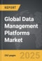 Data Management Platforms - Global Strategic Business Report - Product Thumbnail Image