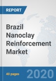 Brazil Nanoclay Reinforcement Market: Prospects, Trends Analysis, Market Size and Forecasts up to 2025- Product Image