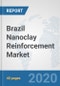 Brazil Nanoclay Reinforcement Market: Prospects, Trends Analysis, Market Size and Forecasts up to 2025 - Product Thumbnail Image
