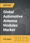 Automotive Antenna Modules - Global Strategic Business Report - Product Thumbnail Image