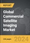 Commercial Satellite Imaging - Global Strategic Business Report - Product Image