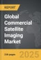 Commercial Satellite Imaging - Global Strategic Business Report - Product Image