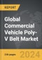 Commercial Vehicle Poly-V Belt - Global Strategic Business Report - Product Thumbnail Image