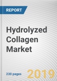 Hydrolyzed Collagen Market by Form and Application: Global Opportunity Analysis and Industry Forecast, 2019-2026- Product Image