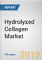 Hydrolyzed Collagen Market by Form and Application: Global Opportunity Analysis and Industry Forecast, 2019-2026 - Product Thumbnail Image