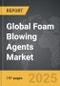 Foam Blowing Agents: Global Strategic Business Report - Product Image