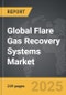 Flare Gas Recovery Systems - Global Strategic Business Report - Product Image