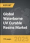 Waterborne UV Curable Resins: Global Strategic Business Report - Product Thumbnail Image