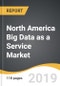 North America Big Data as a Service Market 2019-2027 - Product Thumbnail Image