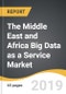 The Middle East and Africa Big Data as a Service Market 2019-2027 - Product Thumbnail Image