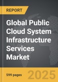 Public Cloud System Infrastructure Services - Global Strategic Business Report- Product Image