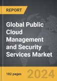 Public Cloud Management and Security Services - Global Strategic Business Report- Product Image