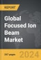 Focused Ion Beam - Global Strategic Business Report - Product Thumbnail Image