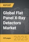 Flat Panel X-Ray Detectors: Global Strategic Business Report - Product Thumbnail Image