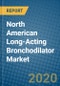 North American Long-Acting Bronchodilator Market 2019-2025 - Product Thumbnail Image