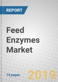 Feed Enzymes: Top Eleven Companies- Product Image