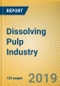 Global and China Dissolving Pulp Industry Report, 2019-2025 - Product Thumbnail Image