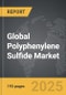 Polyphenylene Sulfide - Global Strategic Business Report - Product Thumbnail Image