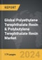 Polyethylene Terephthalate (PET) Resin & Polybutylene Terephthalate (PBT) Resin - Global Strategic Business Report - Product Image