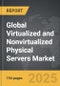 Virtualized and Nonvirtualized Physical Servers - Global Strategic Business Report - Product Image