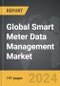 Smart Meter Data Management - Global Strategic Business Report - Product Thumbnail Image