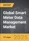 Smart Meter Data Management - Global Strategic Business Report - Product Thumbnail Image