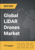 LiDAR Drones - Global Strategic Business Report- Product Image