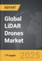 LiDAR Drones: Global Strategic Business Report - Product Thumbnail Image