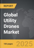 Utility Drones: Global Strategic Business Report- Product Image