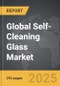 Self-Cleaning Glass - Global Strategic Business Report - Product Thumbnail Image