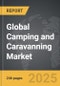 Camping and Caravanning: Global Strategic Business Report - Product Thumbnail Image