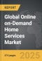 Online On-Demand Home Services - Global Strategic Business Report - Product Thumbnail Image